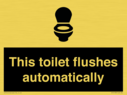 this-toilet-flushes-automatically~
